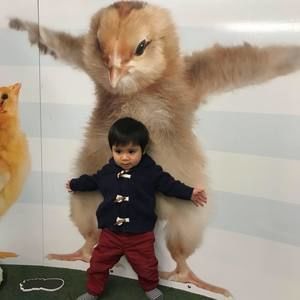 Meet your Posher, Monica